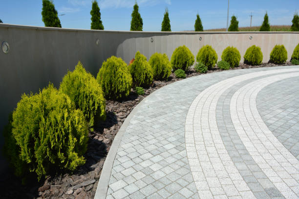 Best Driveway Pavers Near Me  in Spring Hill, FL