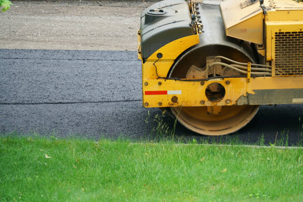 Best Local Driveway Pavers  in Spring Hill, FL